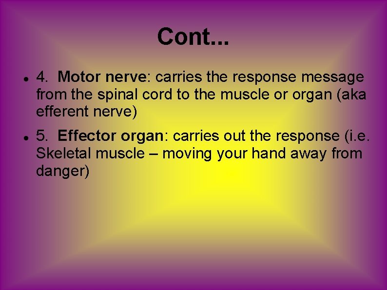 Cont. . . 4. Motor nerve: carries the response message from the spinal cord