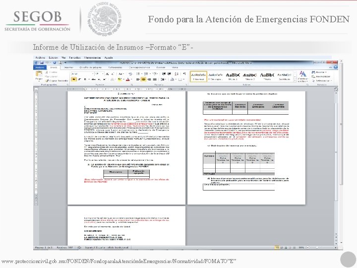 Fondo para la Atención de Emergencias FONDEN Informe de Utilización de Insumos –Formato “E”-