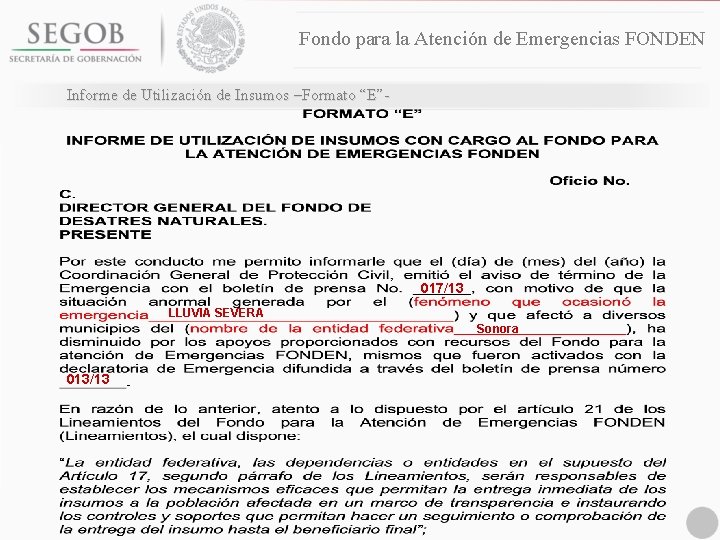 Fondo para la Atención de Emergencias FONDEN Informe de Utilización de Insumos –Formato “E”-