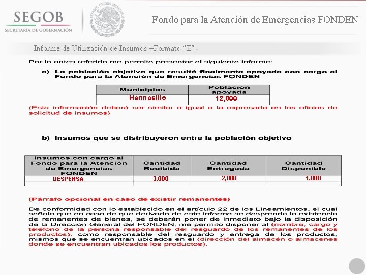 Fondo para la Atención de Emergencias FONDEN Informe de Utilización de Insumos –Formato “E”-