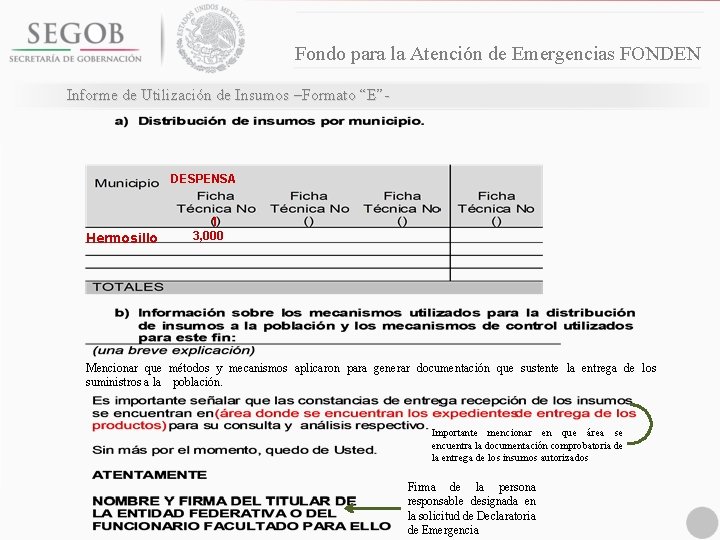 Fondo para la Atención de Emergencias FONDEN Informe de Utilización de Insumos –Formato “E”-