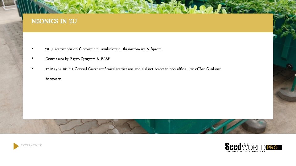 NEONICS IN EU • 2013: restrictions on Clothianidin, imidacloprid, thiamethoxam & fipronil • Court