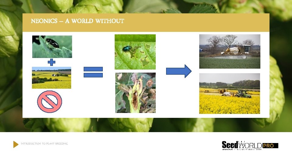 NEONICS – A WORLD WITHOUT INTRODUCTION TO PLANT BREEDING 