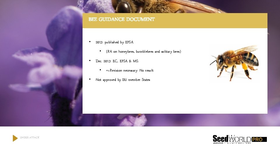 BEE GUIDANCE DOCUMENT • 2013: published by EFSA • (RA on honeybees, bumblebees and