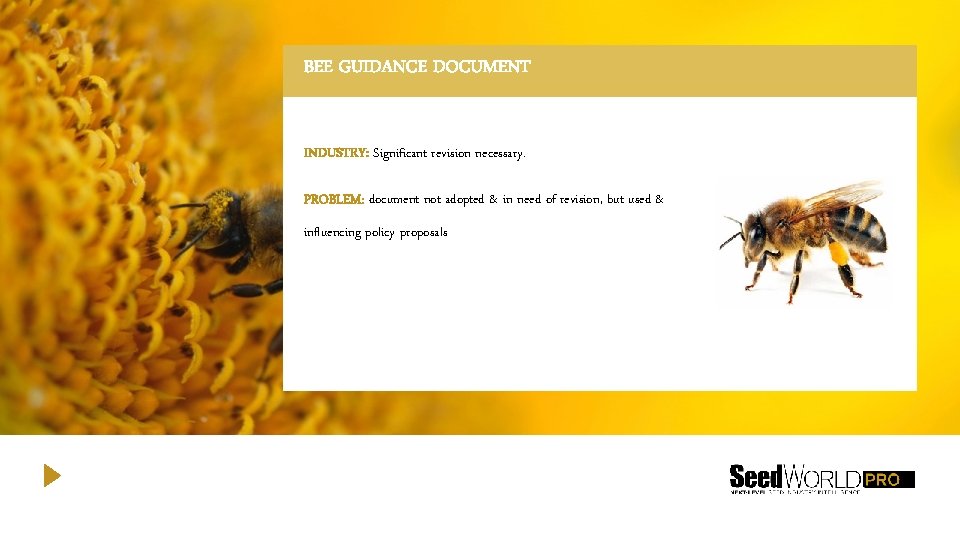 BEE GUIDANCE DOCUMENT INDUSTRY: Significant revision necessary. PROBLEM: document not adopted & in need