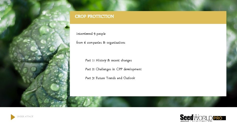 CROP PROTECTION Interviewed 9 people from 6 companies & organizations Part 1: History &