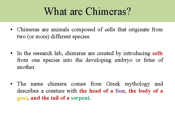 What are Chimeras? • Chimeras are animals composed of cells that originate from two