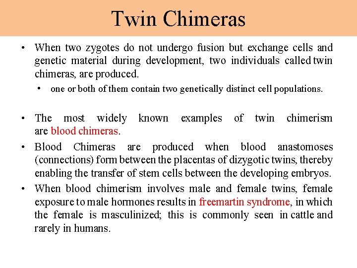 Twin Chimeras • When two zygotes do not undergo fusion but exchange cells and