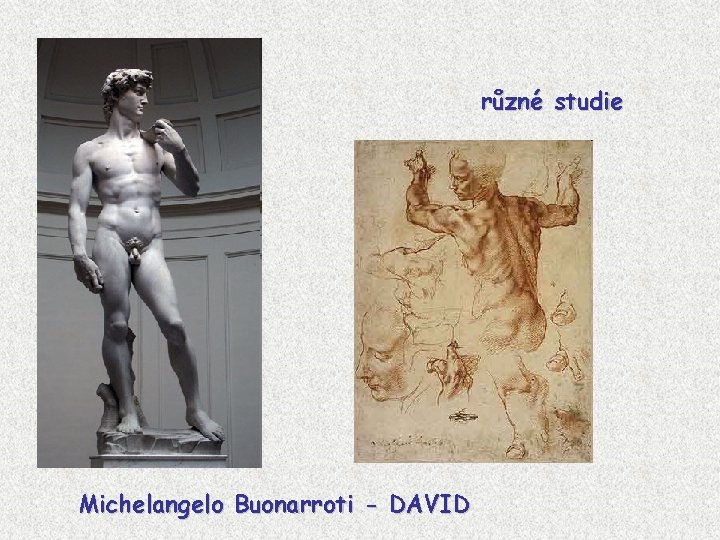 různé studie Michelangelo Buonarroti - DAVID 