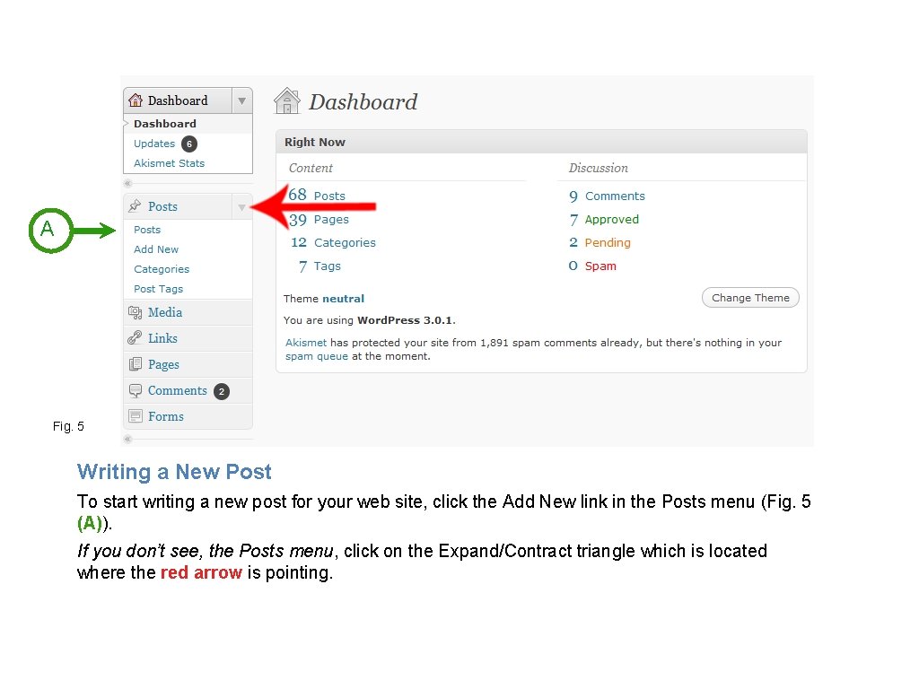 Introduction to WordPress 3 01 The Basics of