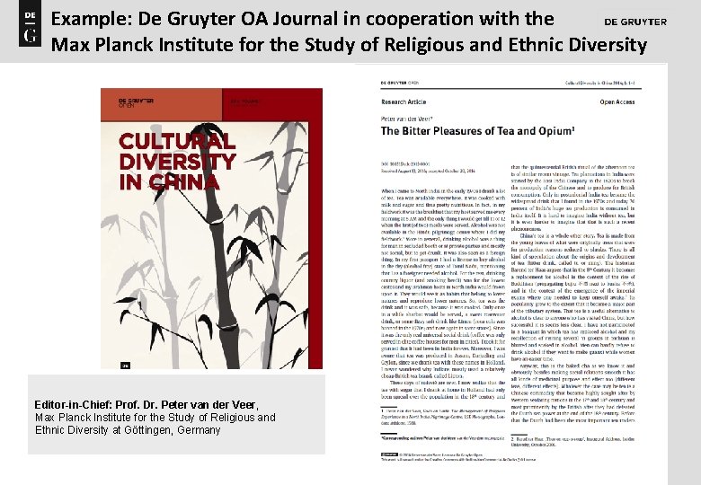 Example: De Gruyter OA Journal in cooperation with the Max Planck Institute for the