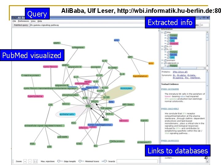 Query Ali. Baba, Ulf Leser, http: //wbi. informatik. hu-berlin. de: 80 Extracted info Pub.
