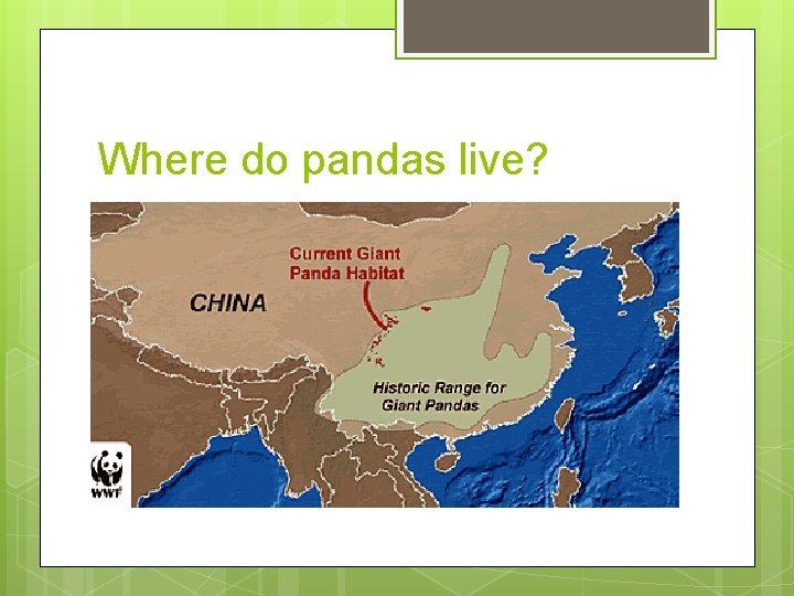 Where do pandas live? 