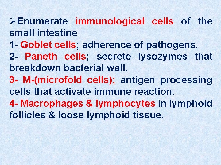 ØEnumerate immunological cells of the small intestine 1 - Goblet cells; adherence of pathogens.