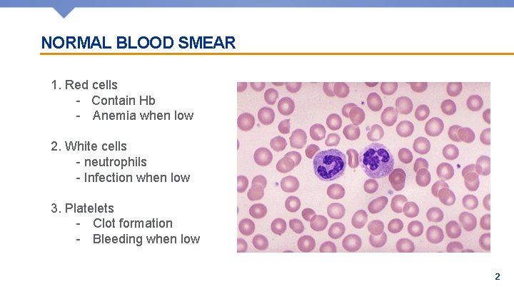 NORMAL BLOOD SMEAR 1. Red cells - Contain Hb - Anemia when low 2.