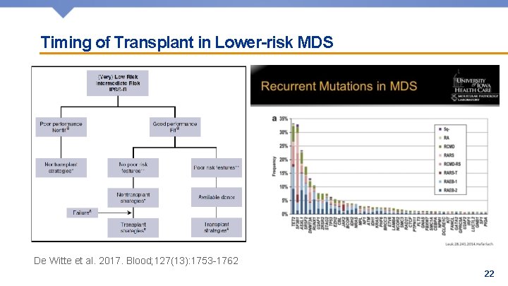 Timing of Transplant in Lower-risk MDS De Witte et al. 2017. Blood; 127(13): 1753