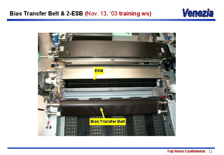 Bias Transfer Belt & 2 -ESB (Nov. 13, ‘ 03 training ws) ESB Bias