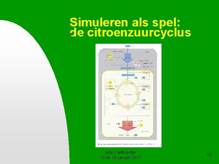 Simuleren als spel: . citroenzuurcyclus de n Nibi Conferentie 13 en 14 januari 2017 Simuleren als spel: . citroenzuurcyclus de n Nibi Conferentie 13 en 14 januari 2017