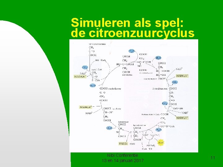 Simuleren als spel: de citroenzuurcyclus n . Nibi Conferentie 13 en 14 januari 2017 Simuleren als spel: de citroenzuurcyclus n . Nibi Conferentie 13 en 14 januari 2017