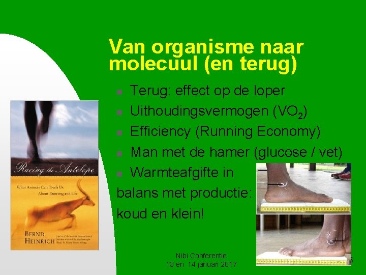 Van organisme naar molecuul (en terug) Terug: effect op de loper n Uithoudingsvermogen (VO Van organisme naar molecuul (en terug) Terug: effect op de loper n Uithoudingsvermogen (VO