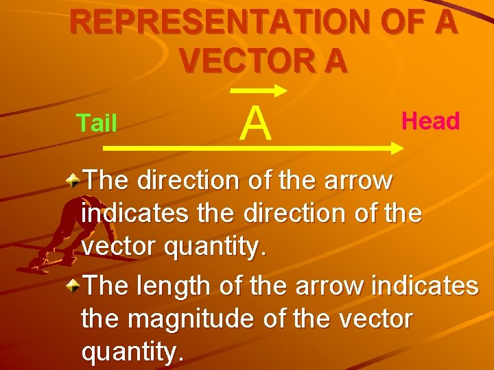 REPRESENTATION OF A VECTOR A Tail A Head The direction of the arrow indicates