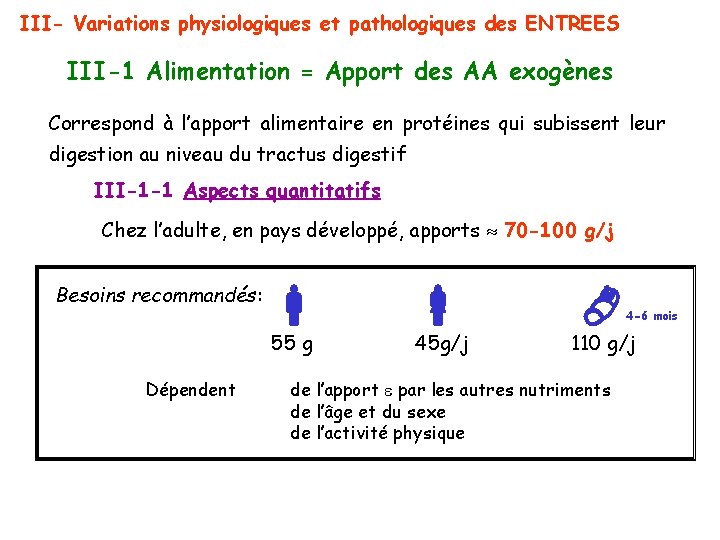 III- Variations physiologiques et pathologiques des ENTREES III-1 Alimentation = Apport des AA exogènes