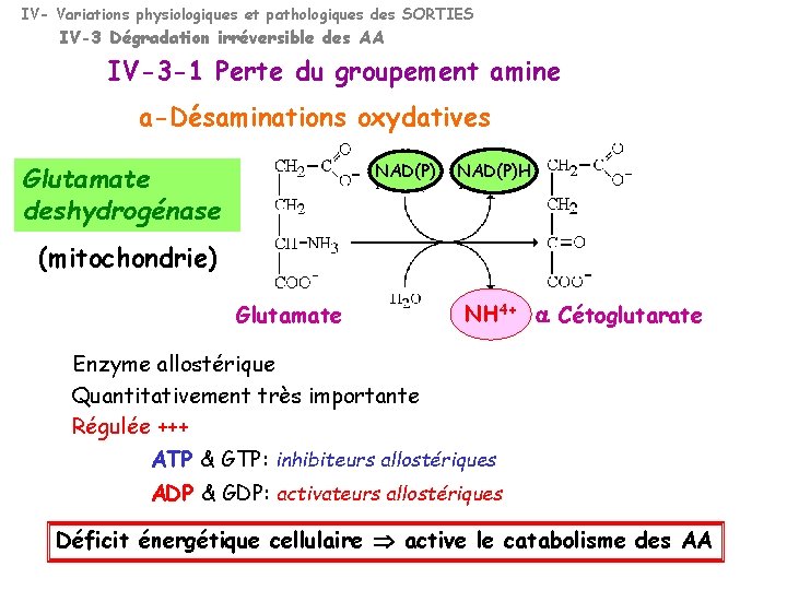 IV- Variations physiologiques et pathologiques des SORTIES IV-3 Dégradation irréversible des AA IV-3 -1