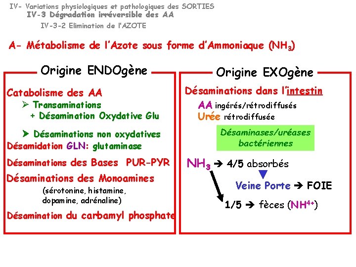 IV- Variations physiologiques et pathologiques des SORTIES IV-3 Dégradation irréversible des AA IV-3 -2