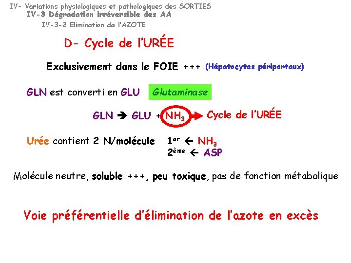 IV- Variations physiologiques et pathologiques des SORTIES IV-3 Dégradation irréversible des AA IV-3 -2