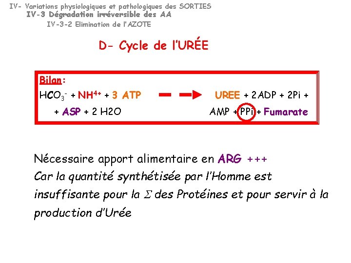 IV- Variations physiologiques et pathologiques des SORTIES IV-3 Dégradation irréversible des AA IV-3 -2