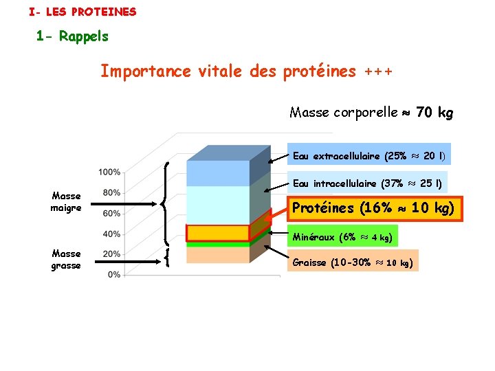 I- LES PROTEINES 1 - Rappels Importance vitale des protéines +++ Masse corporelle 70