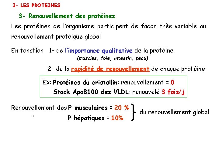 I- LES PROTEINES 3 - Renouvellement des protéines Les protéines de l’organisme participent de