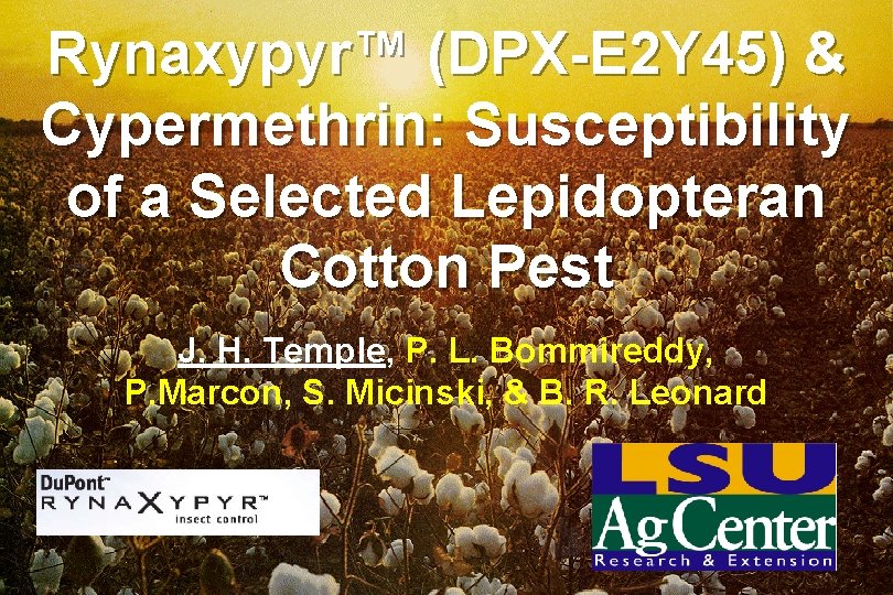 Rynaxypyr™ (DPX-E 2 Y 45) & Cypermethrin: Susceptibility of a Selected Lepidopteran Cotton Pest