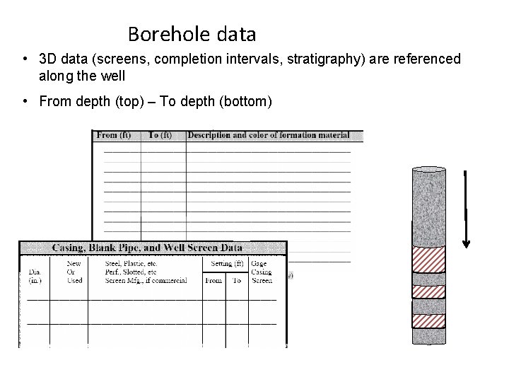 Borehole data • 3 D data (screens, completion intervals, stratigraphy) are referenced along the