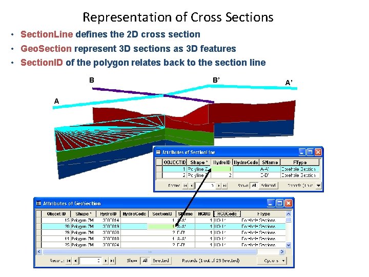 Representation of Cross Sections • Section. Line defines the 2 D cross section •