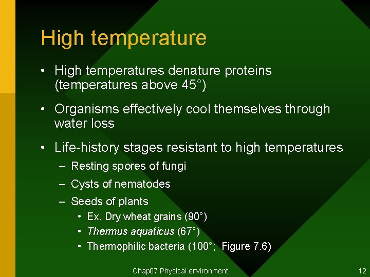 High temperature • High temperatures denature proteins (temperatures above 45°) • Organisms effectively cool