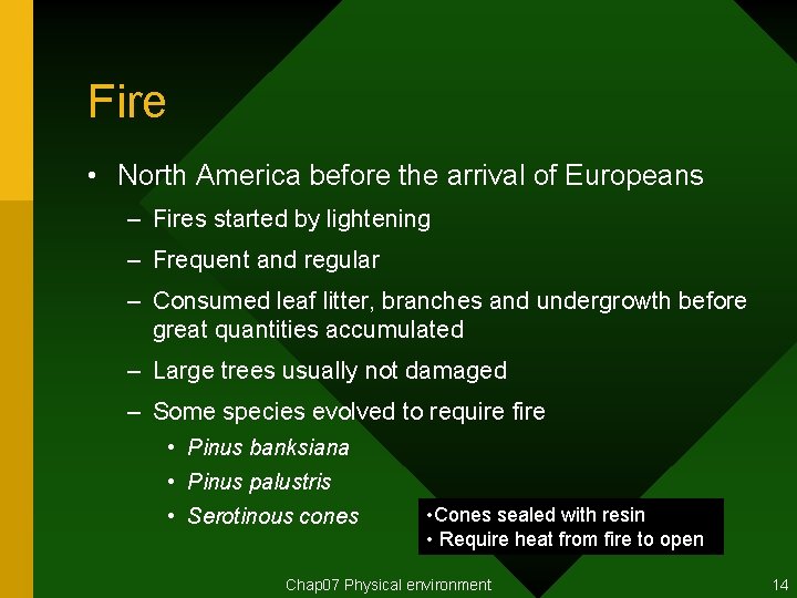 Fire • North America before the arrival of Europeans – Fires started by lightening