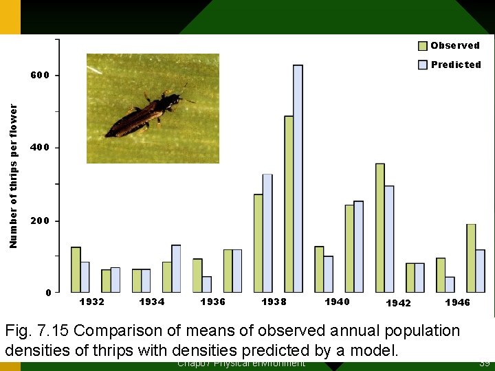 Observed Predicted Number of thrips per flower 600 400 200 0 1932 1934 1936