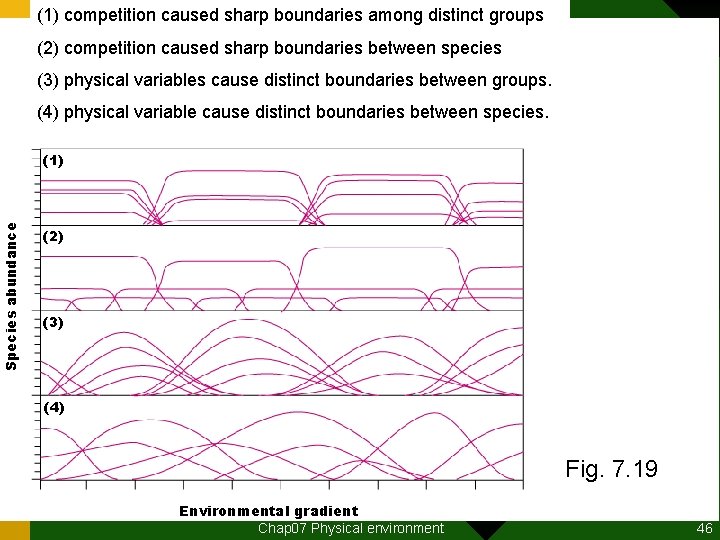 (1) competition caused sharp boundaries among distinct groups (2) competition caused sharp boundaries between