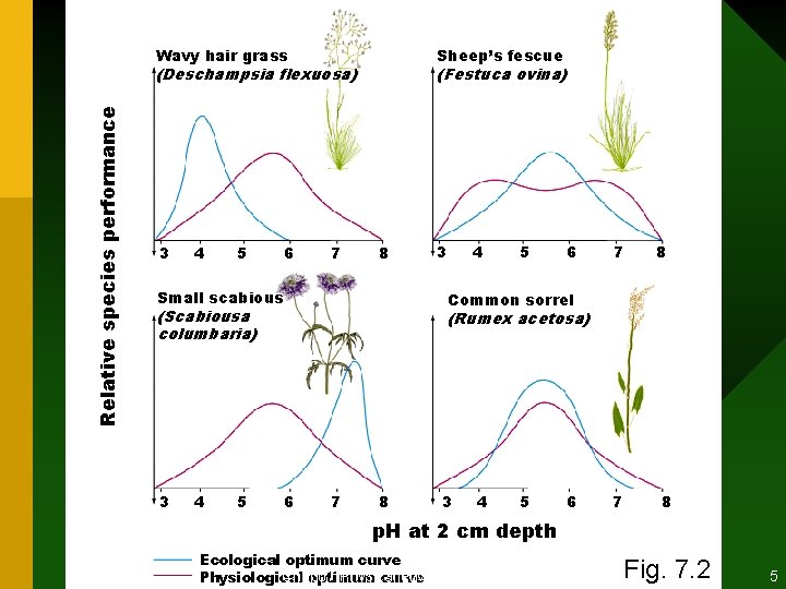 Wavy hair grass Sheep’s fescue Relative species performance (Deschampsia flexuosa) 3 4 5 6