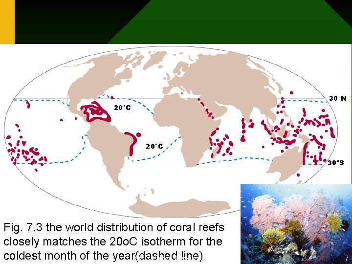 30°N 20°C 30°S Fig. 7. 3 the world distribution of coral reefs closely matches