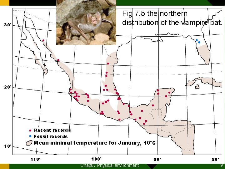 Fig 7. 5 the northern distribution of the vampire bat. 30° 20° Recent records