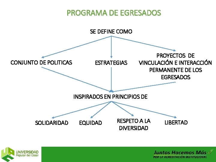 PROGRAMA DE EGRESADOS SE DEFINE COMO CONJUNTO DE POLITICAS ESTRATEGIAS PROYECTOS DE VINCULACIÓN E