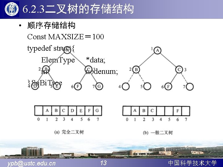 6. 2. 3二叉树的存储结构 • 顺序存储结构 Const MAXSIZE＝ 100 typedef struct{ Elem. Type *data; int