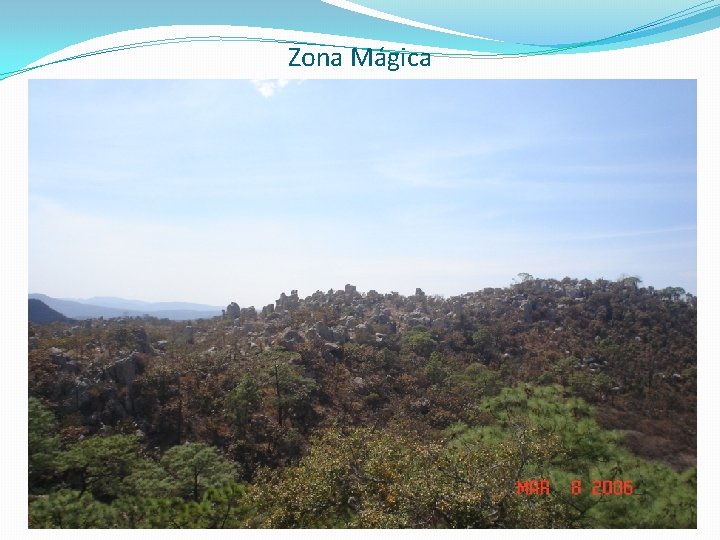 Zona Mágica Zona Mágica