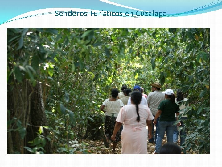 Senderos Turísticos en Cuzalapa Senderos Turísticos en Cuzalapa