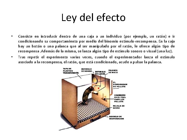 Ley del efecto • • Consiste en introducir dentro de una caja a un