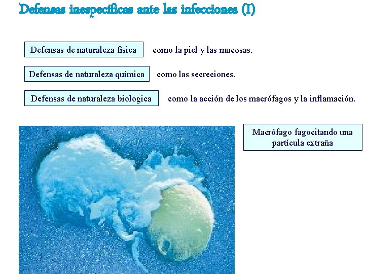 Defensas inespecíficas ante las infecciones (I) Defensas de naturaleza física Defensas de naturaleza química