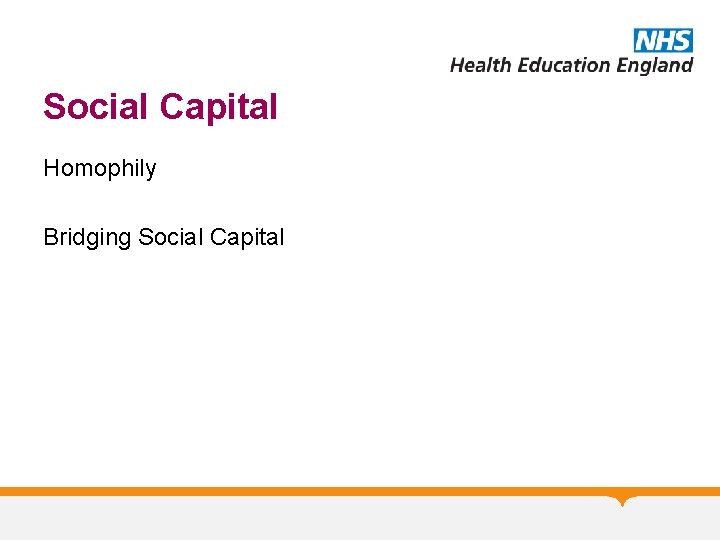 Social Capital Homophily Bridging Social Capital 