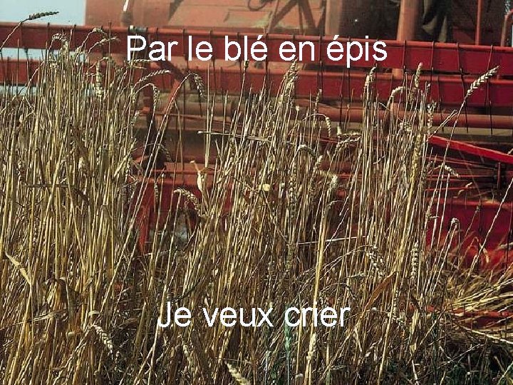 Par le blé en épis Je veux crier 17 